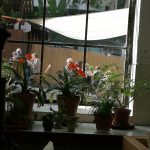 SW Blumen Lounge